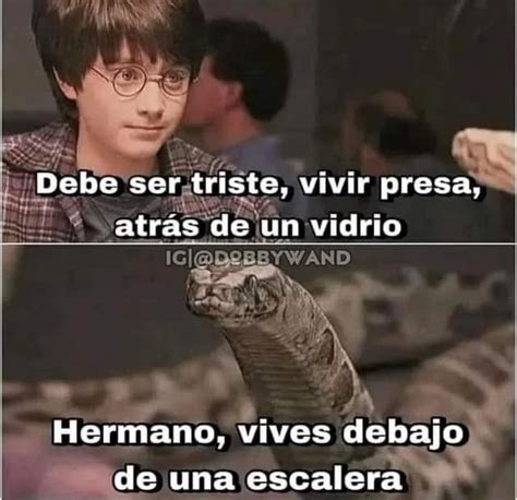 memes de harry potter